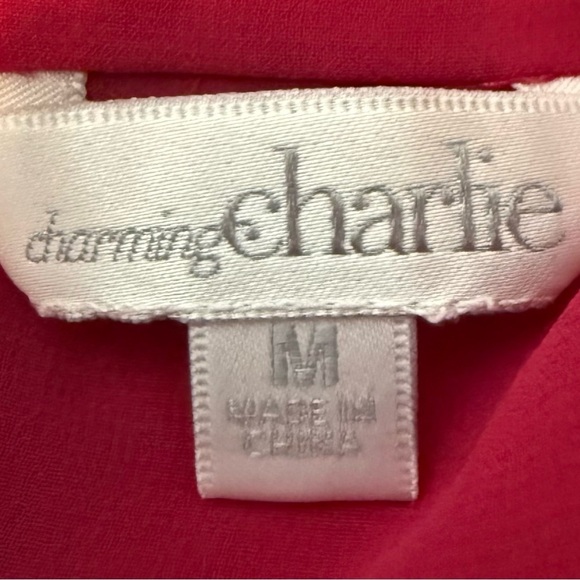 Charming Charlie Pink Fuchsia Layered Tank Top Medium - Picture 11 of 16